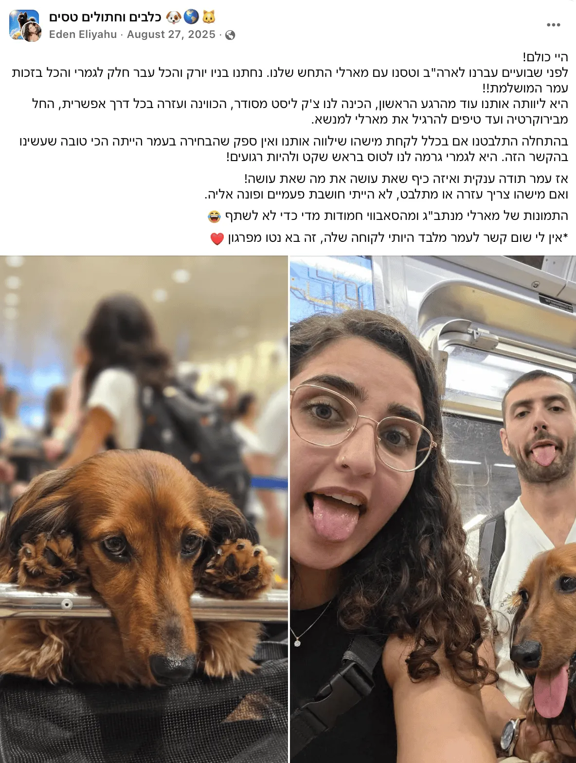 לקוחה ממליצה ניו יורק