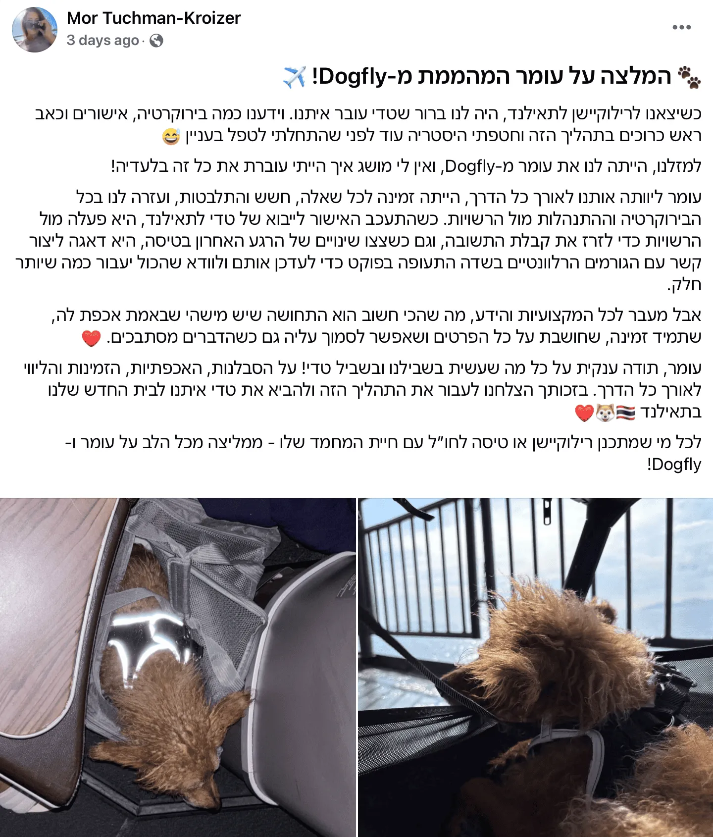 המלצה של מור טוכמן קרויזר על הטסת טדי לקו סמוי