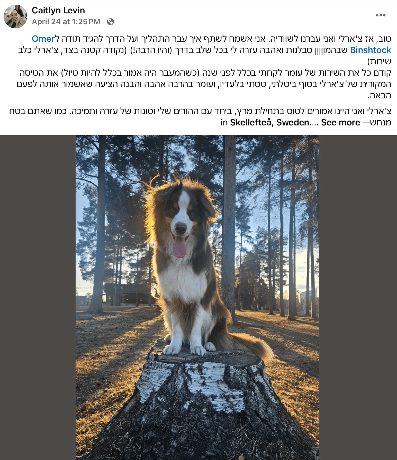 לקוחה ממליצה שבדיה