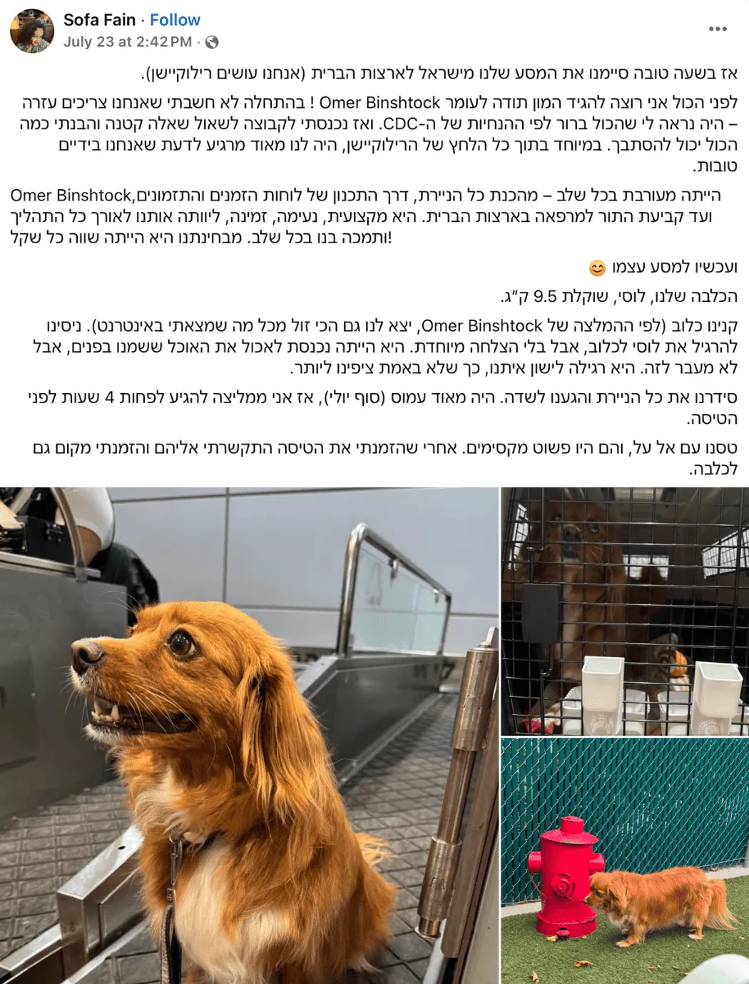 כלב טס ארה"ב