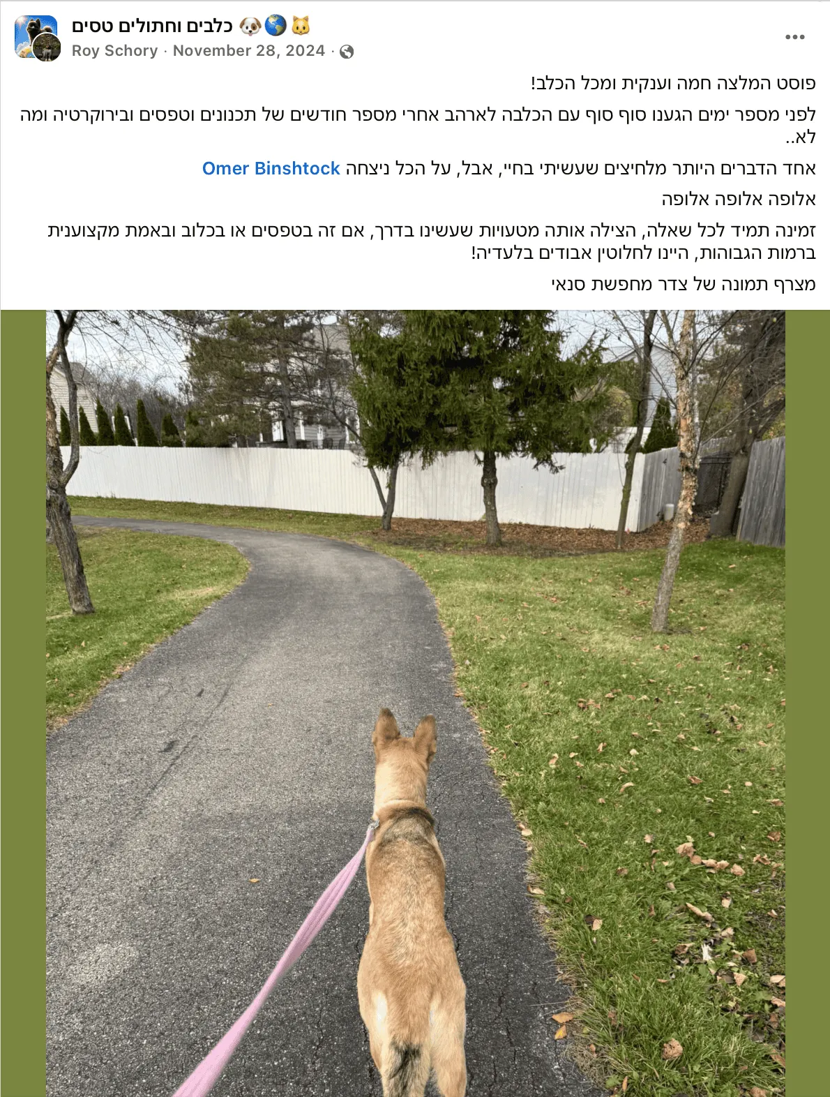 לקוח ממליץ שיקגו