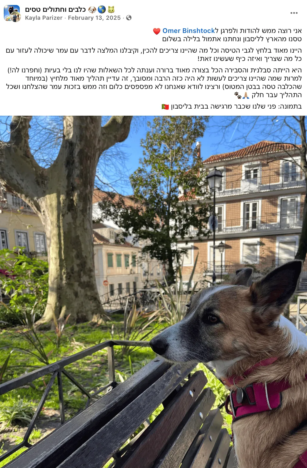 לקוחה ממליצה פורטוגל