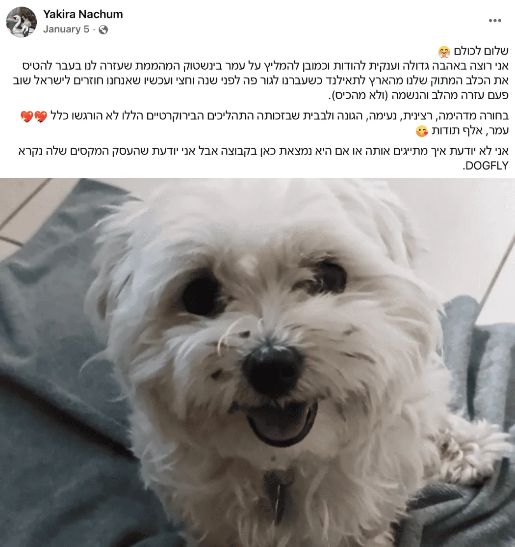 טיסה כלב תאילנד