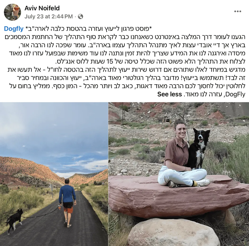 כלב טיסה ארצות הברית